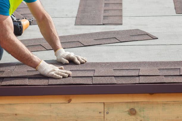 Best Roof Coating and Sealing  in Cactus Flats, AZ